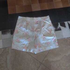 Sarsparilly   Care Bears shorts size XXXL AU New (fits 1X)